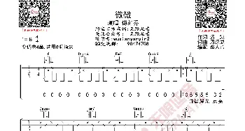 傅如乔 微微 吉他谱_歌曲简谱_词曲: