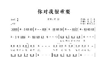 你对我很重要_歌曲简谱_词曲:王艺文 王艺文