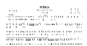 风雨街头_歌曲简谱_词曲:高琛 贺飞