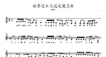 世界这么大还是遇见你_歌曲简谱_词曲: