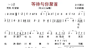 等待与你聚首_歌曲简谱_词曲:孙书林 孙向岭