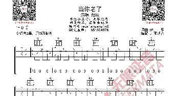 当你老了 吉他谱_歌曲简谱_词曲: