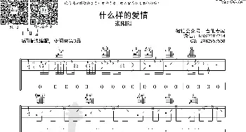 什么样的爱情_歌曲简谱_词曲: