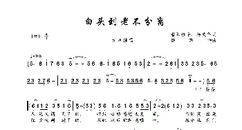 白头到老不分离_歌曲简谱_词曲:潜阳游子、杨美华 杨美华