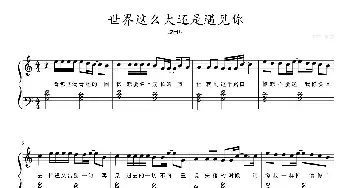 世界这么大还是遇见你_歌曲简谱_词曲: