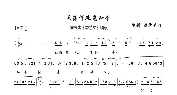 天涯何处觅知音_歌曲简谱_词曲:未知 未知