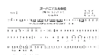 哭一声二丫头寿命短_歌曲简谱_词曲:高琛 徐文华