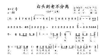 白头到老不分离_歌曲简谱_词曲:潜阳游子、杨美华 杨美华