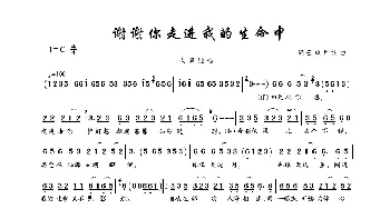 谢谢你走进我的生命中_歌曲简谱_词曲:轻云望月 轻云望月