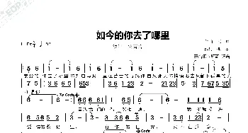 如今的你去了哪里_歌曲简谱_词曲:孤单 孤单