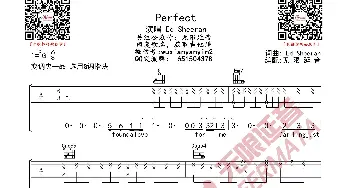 黄老板 Perfect 吉他谱_歌曲简谱_词曲: