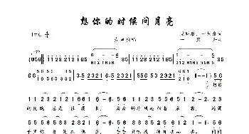 想你的时候问月亮_歌曲简谱_词曲:党明毅、一只舟 一只舟