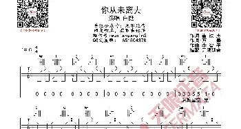 你从未离去 吉他谱_歌曲简谱_词曲: