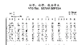 白桦，白桦，你为什么 ЧТО ТЫ，БЕЛАЯ БЕРЕЗА_歌曲简谱_词曲:俄罗斯民歌