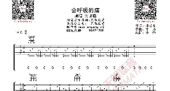 梁静茹 会呼吸的痛 吉他谱_歌曲简谱_词曲: