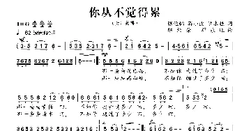 你从不觉得累_歌曲简谱_词曲:张运韬 蒋小波,罗求桂 陈经荣  邓永旺