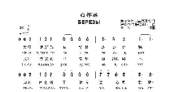 白桦林БЕРЕЗЫ _歌曲简谱_词曲:米哈伊尔·安德烈耶夫 伊戈尔·马特维延科