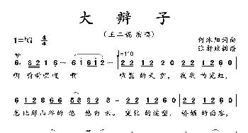 大辩子_歌曲简谱_词曲:何沐阳 何沐阳