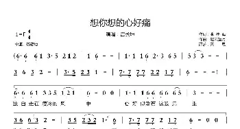 想你想的心好痛_歌曲简谱_词曲:张桂海 轻云望月