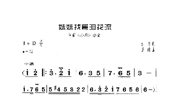 妹妹找哥泪花流_歌曲简谱_词曲:凯传 王酩