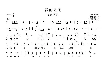 爱的方向_歌曲简谱_词曲:笑红尘 前世