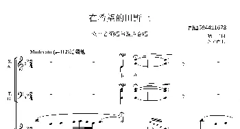 在希望的田野上合唱谱_歌曲简谱_词曲:晓光 施光南