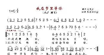 我在梦里等你_歌曲简谱_词曲:吴发林 吴发林