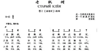 老枫树Старый клён_歌曲简谱_词曲:米•马都索夫斯基 阿•巴赫慕托娃