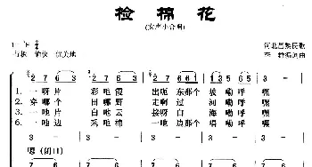 检棉花_歌曲简谱_词曲: 河北昌黎民歌、李群编词曲