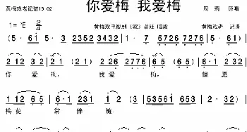 你爱梅，我爱梅_歌曲简谱_词曲:许公炳 精耕