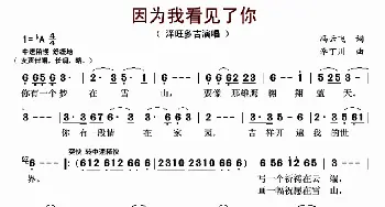 因为我看见了你_歌曲简谱_词曲:冯云飞 李丁川