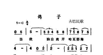 鸽子_歌曲简谱_词曲:古巴民歌