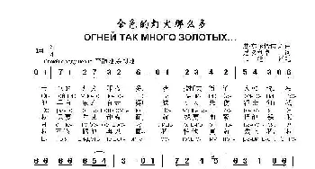 金色的灯火那么多ОГНЕЙ ТАК МНОГО ЗОЛОТЫХ_歌曲简谱_词曲:尼.多利卓 基.莫尔恰诺夫