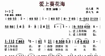 爱上葵花海_歌曲简谱_词曲:凌大鑫 冀文飞