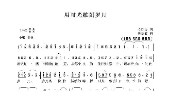 用时光雕刻岁月_歌曲简谱_词曲:毛诗奇 聂思聪