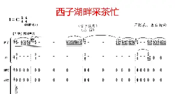 西子湖畔采茶忙_歌曲简谱_词曲: 蒋国基