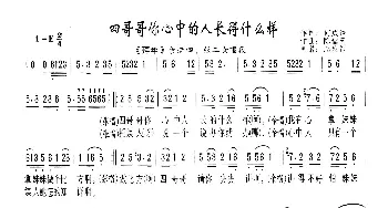 四哥哥你心中人长得什么样_歌曲简谱_词曲:何成结 陈儒天