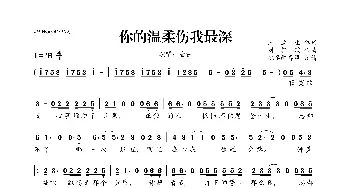 你的温柔伤我最深_歌曲简谱_词曲:汪立生 刘轩瑞