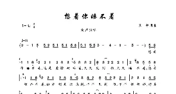 想着你睡不着_歌曲简谱_词曲:王筝 王筝