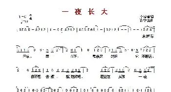 ​一夜长大_歌曲简谱_词曲:李宗盛 许华强