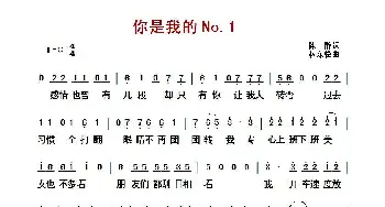 你是我的No.1_歌曲简谱_词曲:陈静 林东松