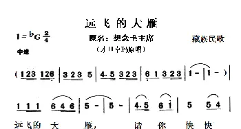 远飞的大雁_歌曲简谱_词曲: