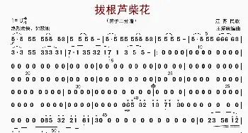 拔根芦柴花_歌曲简谱_词曲: 王爱康编曲