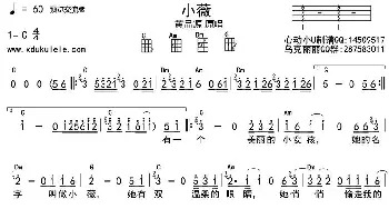 小薇_歌曲简谱_词曲: