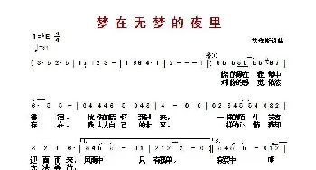 ​梦在无梦的夜里_歌曲简谱_词曲:洪瑶彬 洪瑶彬