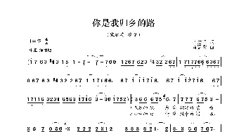 你是我归乡的路_歌曲简谱_词曲:李洁明 黄国群