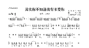 ​其实你不知道我有多爱你_歌曲简谱_词曲:夏敢若何 陈伟