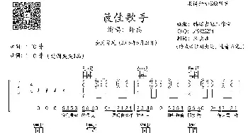 最佳歌手_歌曲简谱_词曲:许嵩 许嵩