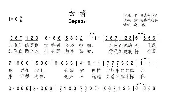 白桦_歌曲简谱_词曲:米.安德列耶夫 伊.马特维延科