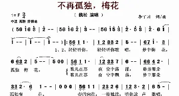 不再孤独，梅花_歌曲简谱_词曲:李丁川 李丁川